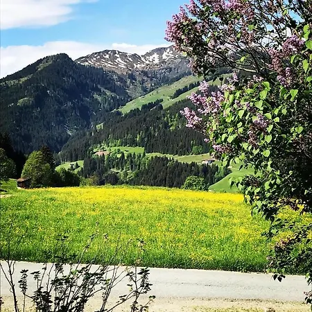 Apartament Schrolln *