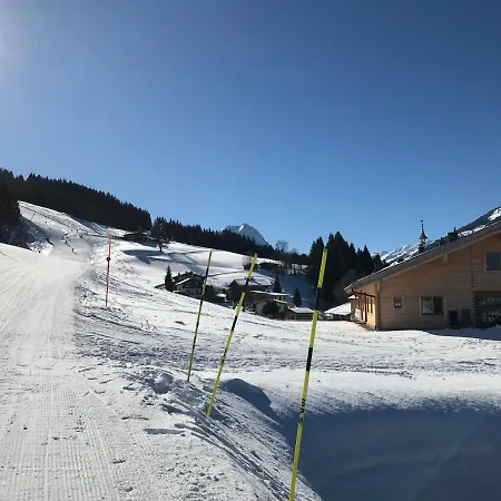 Daire Schrolln Kirchberg in Tirol