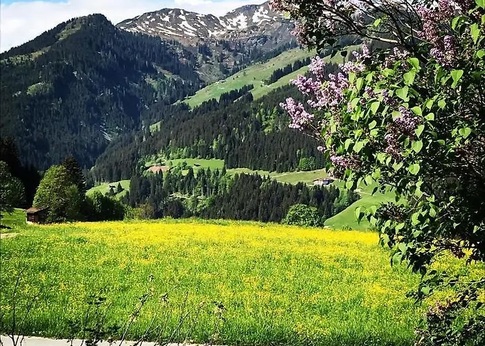 Appartement Schrolln *